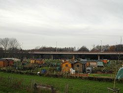The allotments in Gentbrugge