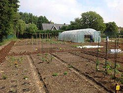 Allotment site Wallemeers in Roeselare