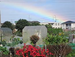 Hagidai Allotment garden