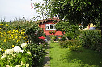 pic1