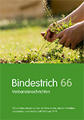 Bindestrich