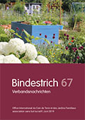 Bindestrich