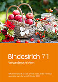 Bindestrich