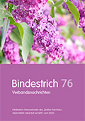 Bindestrich